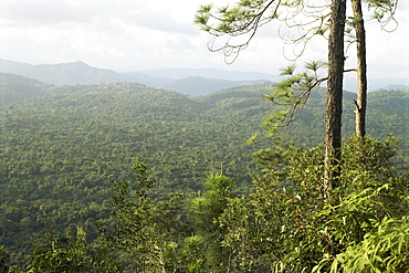 Ben's Bluff Lookout, Cockscomb Basin Sanctuary, Belize, Central America