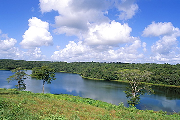 Lake on the estate, Gallon Jug, Belize, Central America