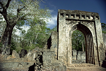 Gedi ruins, Malindi, Kenya, East Africa, Africa