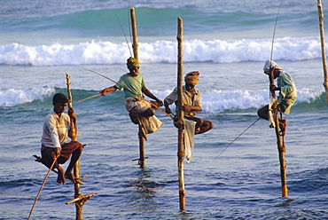 Stilt fishermen, Weligama, Sri Lanka, Asia