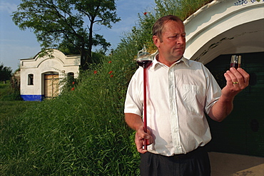 Winegrower sampling his wine, Petrov, South Moravia, Czech Republic, Europe