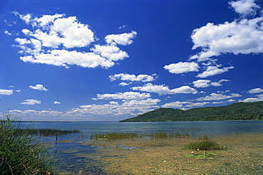 Biotopo Cerro Cahui, seen from across Lake Peten Itza, Peten, Guatemala, Central America