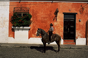 Man on horse in front of a typical painted wall, Antigua, Guatemala, Central America