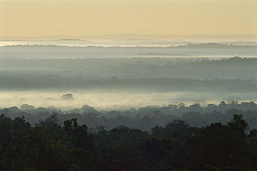 Dawn over rain forest of Biosphere Reserve, Peten, Guatemala, Central America