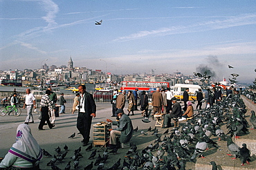 Street scene with pigeons, Galata Bridge, Istanbul, Turkey, Europe