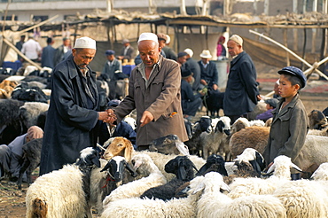 Bargaining in the Sunday sheep market, Kashi, Xinjiang, China, Asia