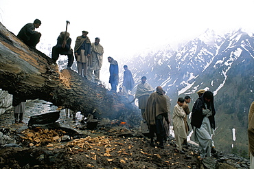 Clearning a tree-slide, Lowari Pass, Pakistan, Asia