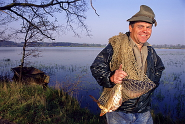 Carp fisherman with carp for a Christmas meal, near Trebon, South Bohemia, Czech Republic, Europe