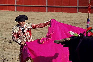 Bullfighter, bull and cape, New Fairs, Ponte de Lima, Minho, Portugal, Europe