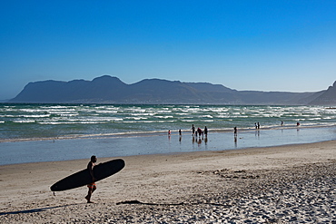 Surfer returning across beach with surfboard, False Bay, Cape Town, South Africa, Africa