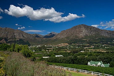 View across Franschoek from Mont Rochelle, Franschoek, Western Cape, South Africa, Africa