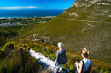 Two women hikers walking down into Hermanus from the mountain, Hermanus, South Africa, Africa