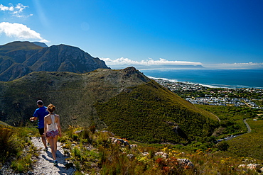 Man and woman hikers walking down into Hermanus from the mountain, Hermanus, South Africa, Africa