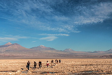 Hikers out on the Atacama Salt Flats, with snow-capped volcanic peaks in the background, near San Pedro de Atacama, Chile, South America