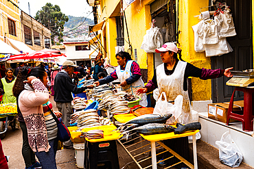 Women fishmongers selling at their shop-fronts near San Pedro Market, Cusco, UNESCO World Heritage Site, Sacred Valley, Peru, South America