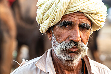 Close-up head shot portrait of bearded camel trader with cream turban, Pushkar Camel Fair, Pushkar, Rajasthan, India, Asia