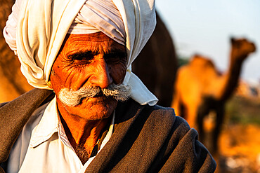 Close-up portrait of camel trader with cream turban and impressive moustache, camel in background, Pushkar Camel Fair, Pushkar, Rajasthan, India, Asia