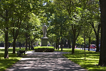 Tree lined central mall in Commonwealth Avenue, Boston, Massachusetts, USA