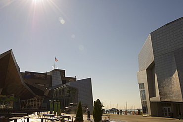 The New England Aquarium by the Waterfront, Boston, Massachusetts, New England, United States of America, North America