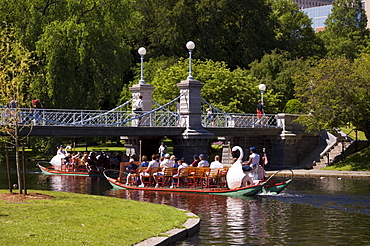 Lagoon Bridge and Swan Boat in the Public Garden, Boston, Massachusetts, New England, United States of America, North America