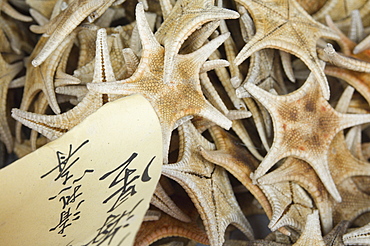 Dried starfish for sale in seafood shop, Chinatown, Singapore, South East Asia