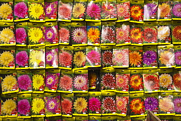 Seed packets, Bloemenmarkt (flower market), Amsterdam, Netherlands, Europe