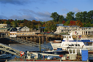 Boats in the harbour and buildings on the waterfront at the scenic harbour, Bar Harbour, Maine, New England, United States of America, North America