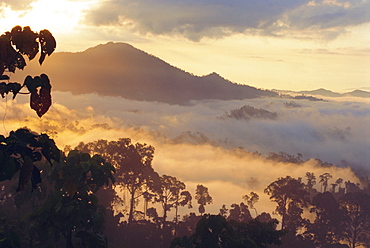 Dawn in the Danum Valley Conservation Area - Dipterocarp rainforest, Mt Rafflesia in distance, Sabah, Malaysia, Asia