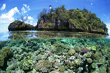 Above and below water view of coral reef surrounding islet of Yanu Yanu i Sau, Lau group (Exploring Isles), Northern Lau Group. Fiji, Pacific Islands, Pacific