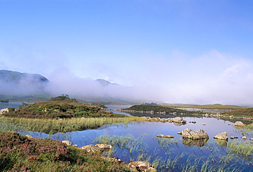 Lochan na h-Achlaise, Rannoch Moor, Black Mount in the background, Highlands, Scotland, United Kingdom, Europe