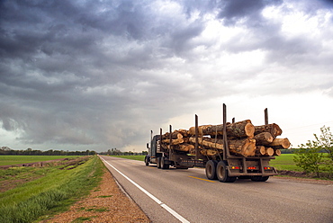 Logging truck in Mississippi driving into the heart of a thunderstorm with an extreme tornado watch, United States of America, North America