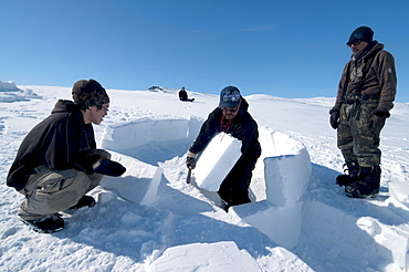 Inuit elder teaches igloo building to young men from the community of Pond Inlet, Nunavut, Canada, North America