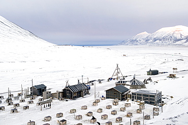 Husky dog sled operation where each dog has its own kennel raised off ground and seal carcasses are hung nearby to feed the animals, Svalbard, Arctic, Norway, Scandinavia, Europe