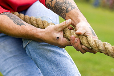 Tug of war man from the winning Baxters Elgin team, Scottish Highland Games, Ballater, Scotland, United Kingdom, Europe