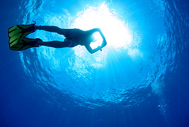 Free diving snorkeller and sunburst on the Great Barrier Reef, UNESCO World Heritage Site, Cairns, Queensland, Australia, Pacific