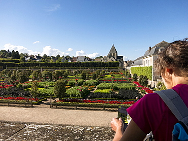 Visitor at the kitchen gardens feature seasonal vegetables at the Chateau de Villandry, UNESCO World Heritage Site, Loire Valley near Tours, Indre et Loire, Centre, France, Europe