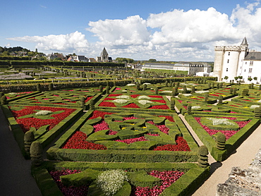 Formal gardens at the Chateau de Villandry, UNESCO World Heritage Site, Loire Valley near Tours, Indre et Loire, Centre, France, Europe