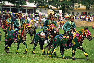 Bajau horsemen at the annual festival of horsemanship in Kota Belud in November, in Sabah, Malaysia, Borneo, Southeast Asia, Asia