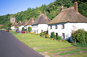 Milton Abbas, Dorset, England, United Kingdom, Europe