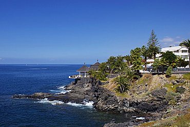 El Jupado, Playa de las Americas, Tenerife, Canary Islands, Spain, Atlantic, Europe