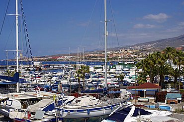 Puerto Colon, Playa de las Americas, Tenerife, Canary Islands, Spain, Atlantic, Europe