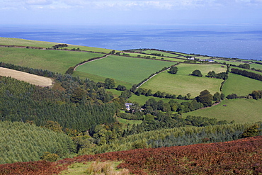 Exmoor National Park and Bristol Channel, near Porlock, Somerset, England, United Kingdom, Europe