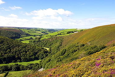 Exmoor from County Gate, looking towards Brendon, Exmoor National Park, Somerset, England, United Kingdom, Europe