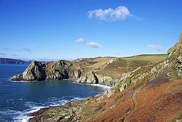 Gammon Head and Elander Cove, Devon, England, United Kingdom, Europe