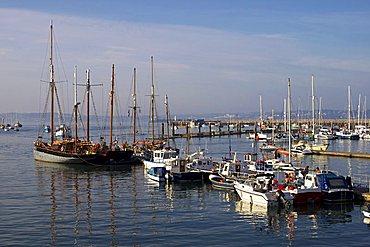 Marina, Brixham, Devon, England, United Kingdom, Europe