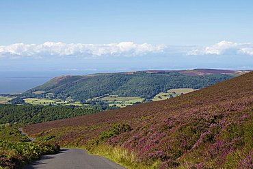 Exmoor National Park near Porlock, Somerset, England, United Kingdom, Europe