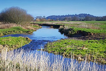 River Culm, near Rewe, Devon, England, United Kingdom, Europe