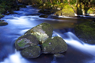 River Teign, Dartmoor National Park, Devon, England, United Kingdom, Europe