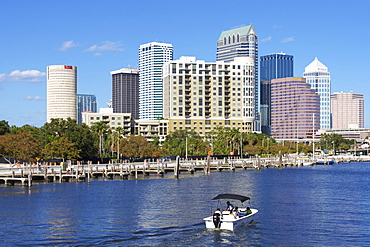 Tampa, Gulf Coast, Florida, United States of America, North America