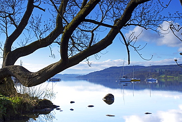 Sunrise, Ambleside, Lake Windermere, Lake District National Park, Cumbria, England, United Kingdom, Europe